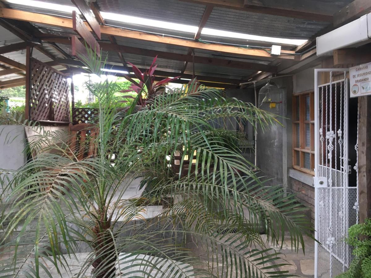 Murph'S Surf Shacks Rivas Bagian luar foto